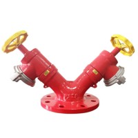 Đầu trụ chữa cháy 2DN65xDN100 Đầu trụ chữa cháy 2DN65xDN100